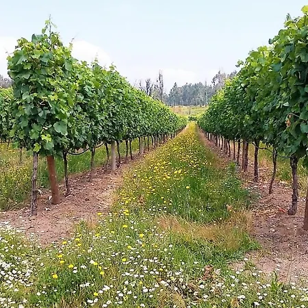 Casal Do Arcebispado Casa di campagna *