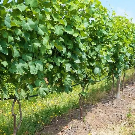 Casal Do Arcebispado Casa di campagna *