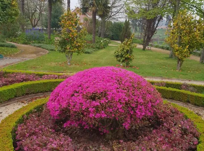 Casal Do Arcebispado *