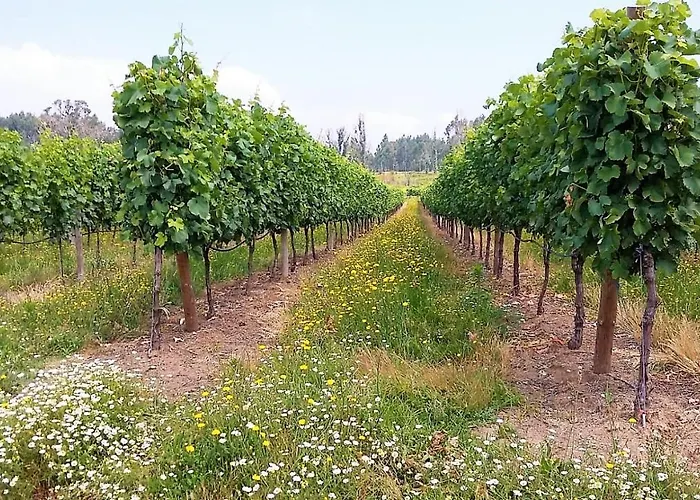 Casal Do Arcebispado Gospodarstwo wiejskie *